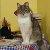 Отзыв от Алиса Горячева